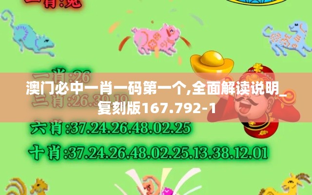 澳门必中一肖一码第一个,全面解读说明_复刻版167.792-1