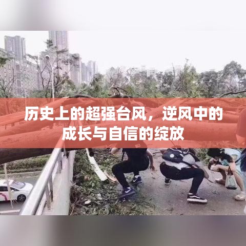 逆风中的成长与自信绽放，历史上的超强台风回顾