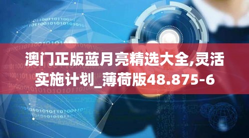 澳门正版蓝月亮精选大全,灵活实施计划_薄荷版48.875-6
