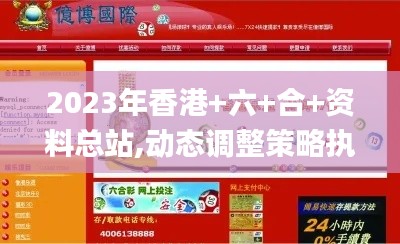 2023年香港+六+合+资料总站,动态调整策略执行_P版25.203-6