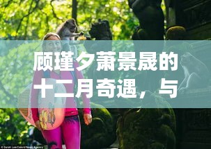 顾瑾夕萧景晟的十二月奇遇，与自然美景的邂逅与内心平和之旅