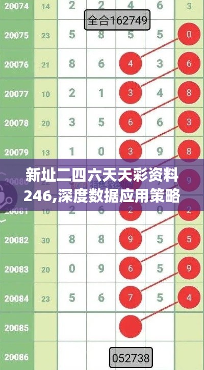 新址二四六天天彩资料246,深度数据应用策略_10DM61.360-7