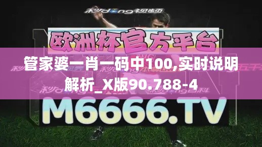 管家婆一肖一码中100,实时说明解析_X版90.788-4