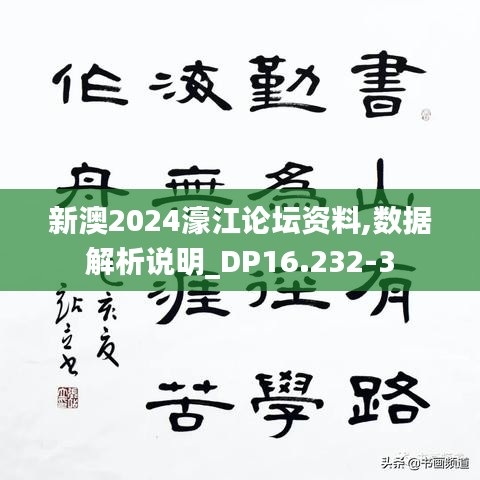 新澳2024濠江论坛资料,数据解析说明_DP16.232-3