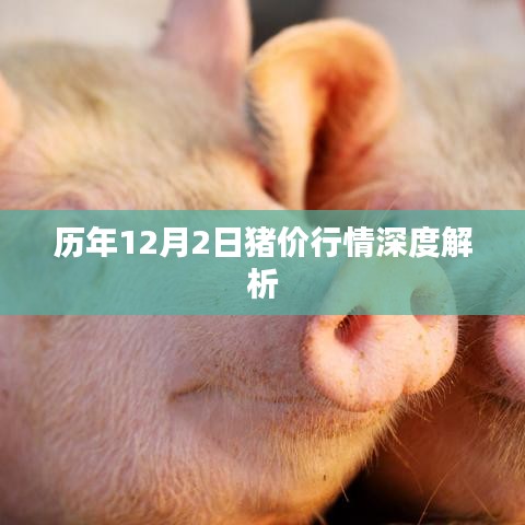 历年12月2日猪价行情深度剖析