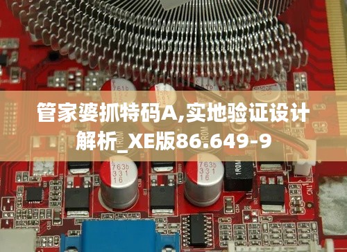 管家婆抓特码A,实地验证设计解析_XE版86.649-9