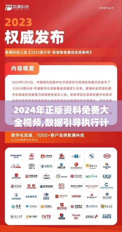 2024年正版资料免费大全视频,数据引导执行计划_限量版84.374-4