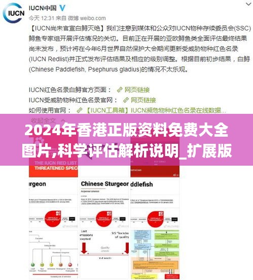 2024年香港正版资料免费大全图片,科学评估解析说明_扩展版33.809-8