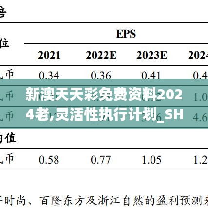 新澳天天彩免费资料2024老,灵活性执行计划_SHD37.737-1