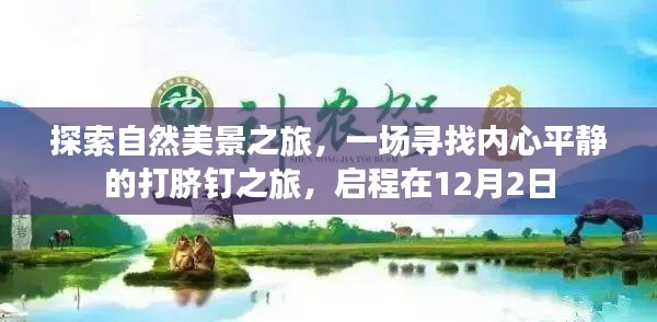 自然美景探寻之旅，寻找内心平静的启程之路