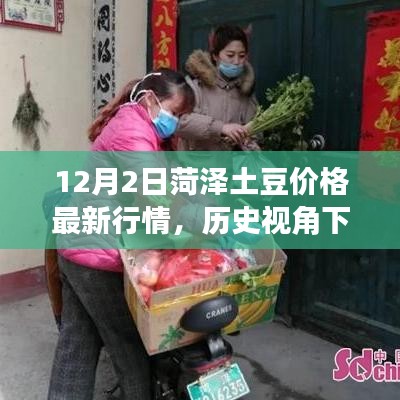 菏泽土豆价格最新行情深度解析，历史视角与观点阐述
