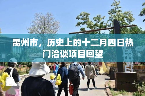 禹州市十二月四日热门洽谈项目回顾