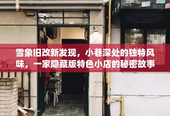 雪象旧改新发现，小巷深处的独特风味与隐藏特色小店揭秘
