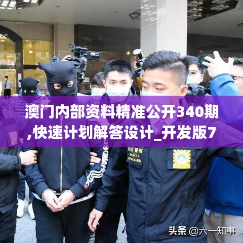 一花独放 第4页