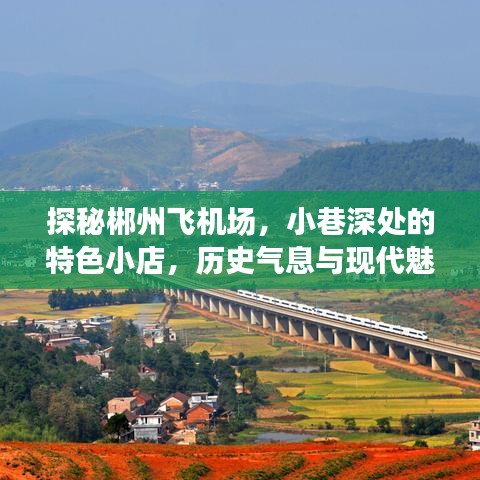 郴州飞机场周边，小巷特色小店的历史与现代魅力探秘