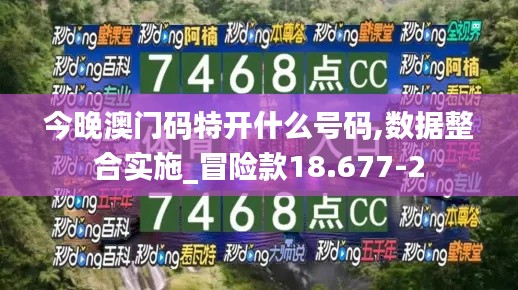 今晚澳门码特开什么号码,数据整合实施_冒险款18.677-2