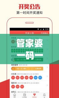 管家婆一码一肖100中奖青岛,实地计划验证数据_BT110.203-5