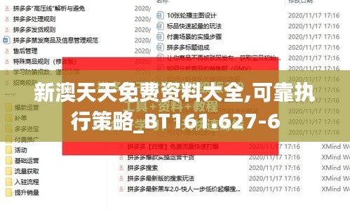 新澳天天免费资料大全,可靠执行策略_BT161.627-6