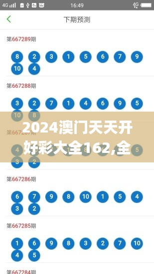 2024澳门天天开好彩大全162,全面解读说明_bundle76.101-8