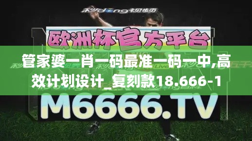 管家婆一肖一码最准一码一中,高效计划设计_复刻款18.666-1
