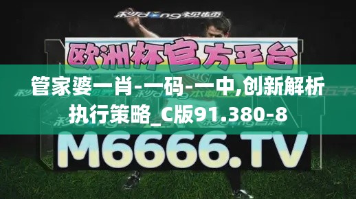 管家婆一肖-一码-一中,创新解析执行策略_C版91.380-8