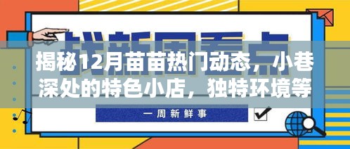揭秘苗苗十二月热门动态，小巷深处的特色小店等你来探索！