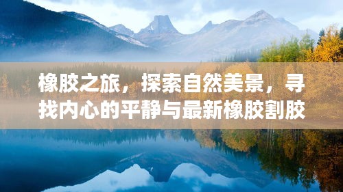 夫荣妻贵 第4页