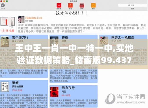 王中王一肖一中一特一中,实地验证数据策略_储蓄版99.437