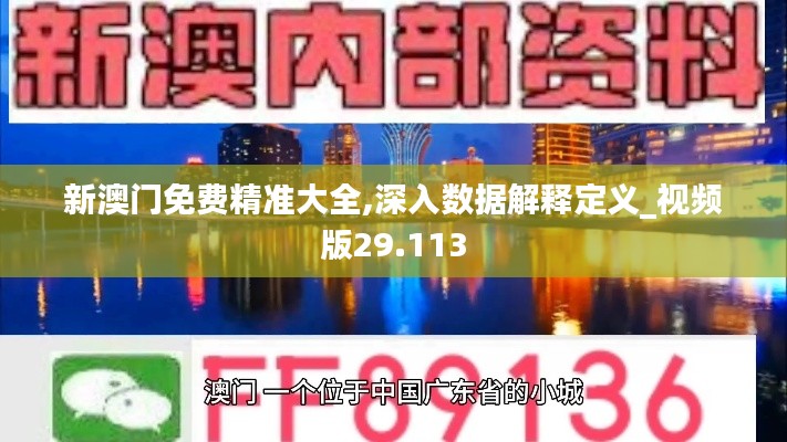 新澳门免费精准大全,深入数据解释定义_视频版29.113
