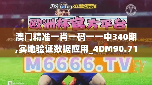 澳门精准一肖一码一一中340期,实地验证数据应用_4DM90.710-6