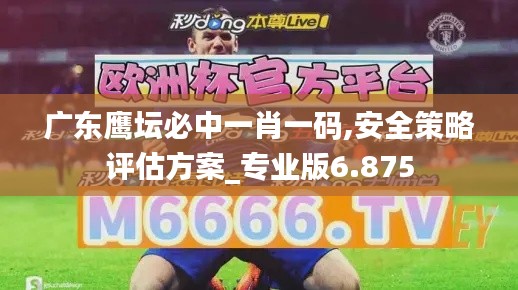 广东鹰坛必中一肖一码,安全策略评估方案_专业版6.875