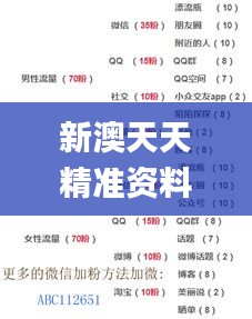 新澳天天精准资料大全,实用性执行策略讲解_复刻版144.133