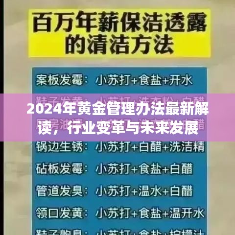 黄金管理办法最新解读与行业变革及未来发展展望