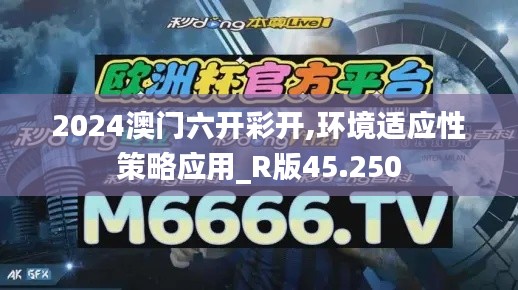 2024澳门六开彩开,环境适应性策略应用_R版45.250