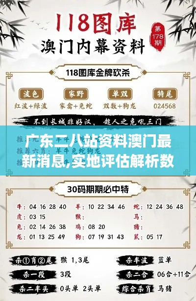 广东二八站资料澳门最新消息,实地评估解析数据_1440p192.428