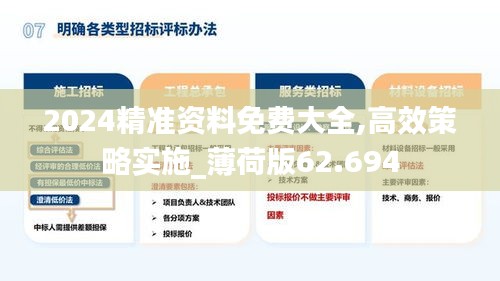 2024精准资料免费大全,高效策略实施_薄荷版62.694