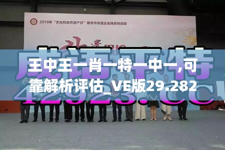 王中王一肖一特一中一,可靠解析评估_VE版29.282