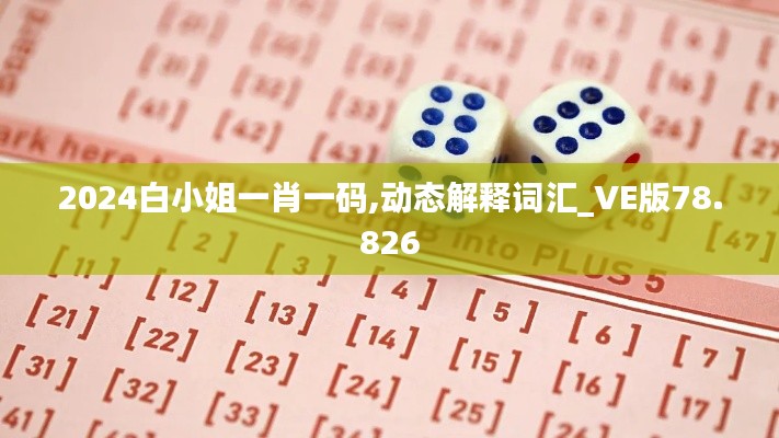 2024白小姐一肖一码,动态解释词汇_VE版78.826