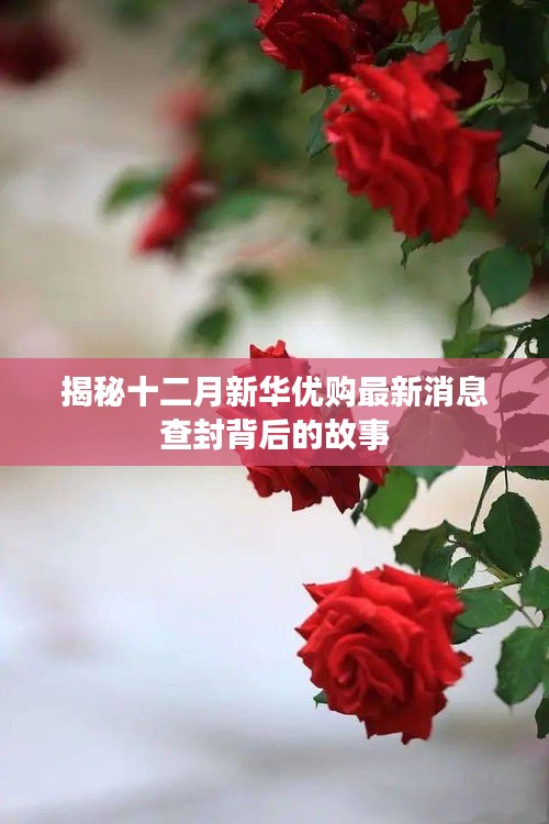 揭秘新华优购十二月最新消息查封背后的真相
