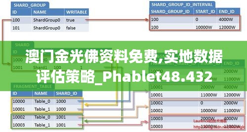 澳门金光佛资料免费,实地数据评估策略_Phablet48.432