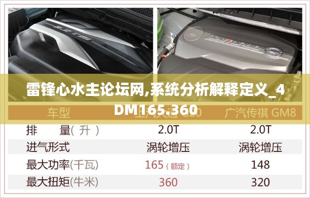 雷锋心水主论坛网,系统分析解释定义_4DM165.360