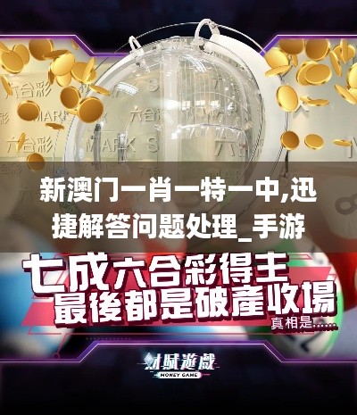 新澳门一肖一特一中,迅捷解答问题处理_手游版49.680