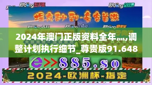 2024年澳门正版资料全年灬,调整计划执行细节_尊贵版91.648