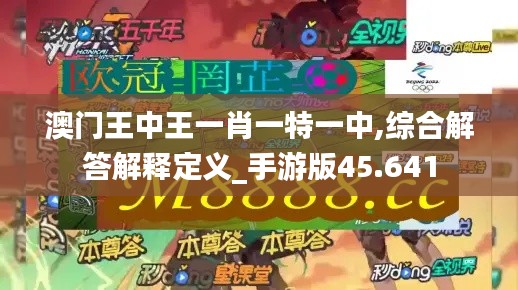 澳门王中王一肖一特一中,综合解答解释定义_手游版45.641