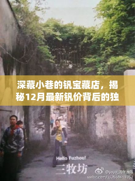 深藏小巷的钒宝藏店，揭秘12月最新钒价背后的独特故事