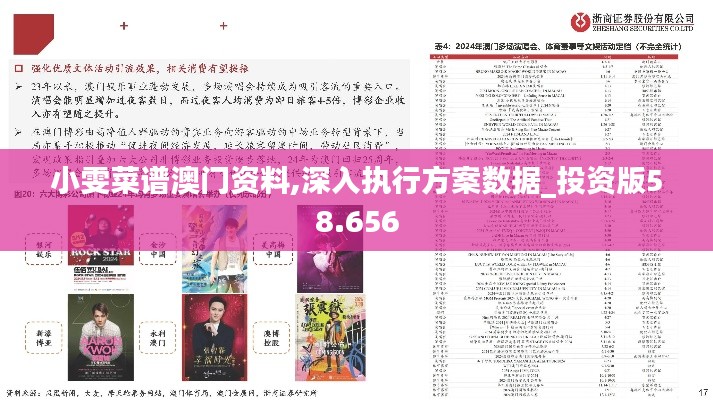 小雯菜谱澳门资料,深入执行方案数据_投资版58.656