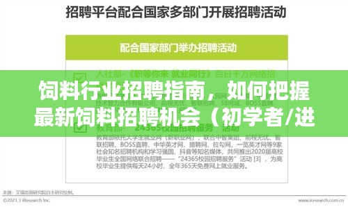 饲料行业招聘指南，把握最新饲料招聘机遇，初学者与进阶用户必备攻略