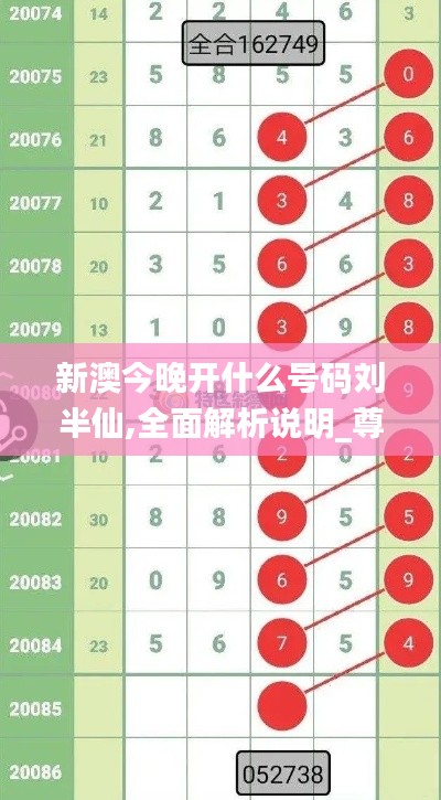 新澳今晚开什么号码刘半仙,全面解析说明_尊贵款14.866