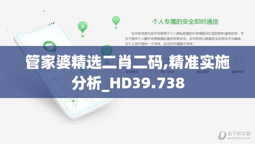 管家婆精选二肖二码,精准实施分析_HD39.738