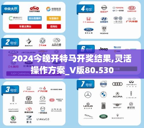 2024今晚开特马开奖结果,灵活操作方案_V版80.530